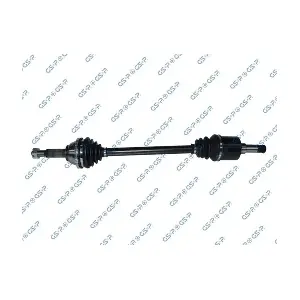 MDR GSP-218209