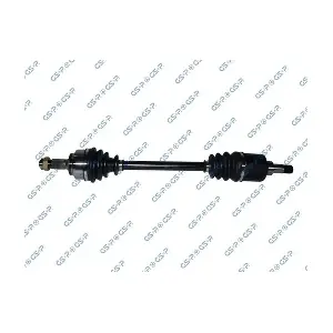 GSP-245203 MDR
