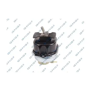GSP-539406 MDR