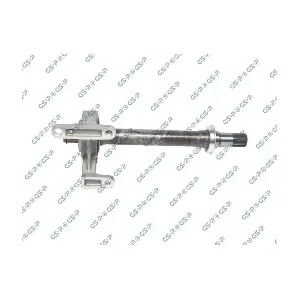 GSP-202813 MDR