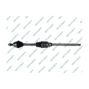 GSP-217157 MDR