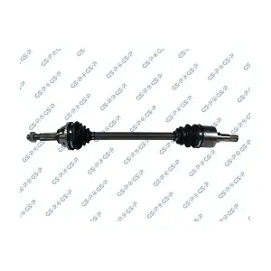 GSP-218036 MDR
