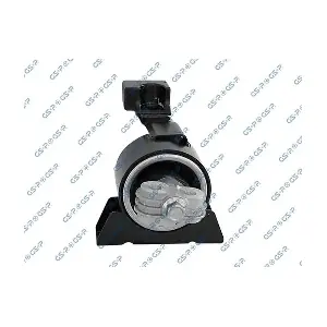 GSP-513789 MDR
