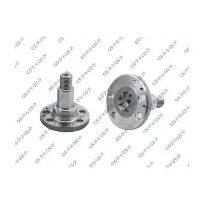 GSP-9499168 MDR