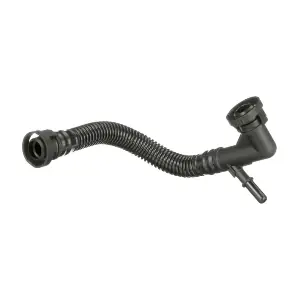 GOM-EBV0034 MDR
