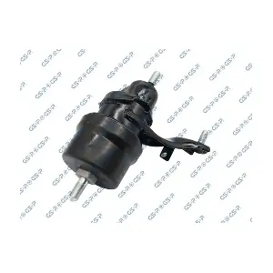 GSP-519029 MDR