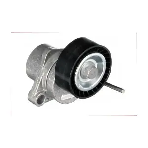GOM-BT0019 MDR