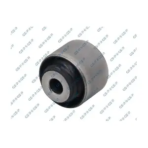 GSP-516031 MDR