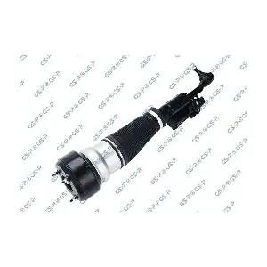 GSP-30900331 MDR