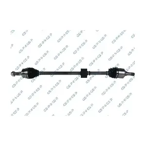 GSP-217080 MDR