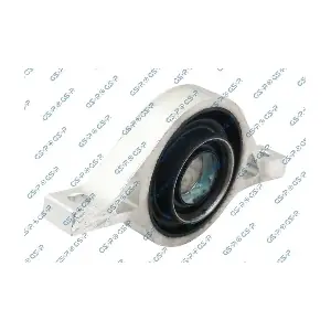 GSP-538624 MDR
