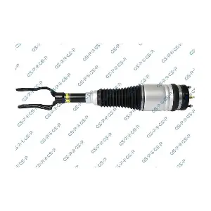 GSP-30900011 MDR