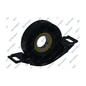 GSP-538669 MDR