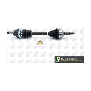 BGA DS9511L