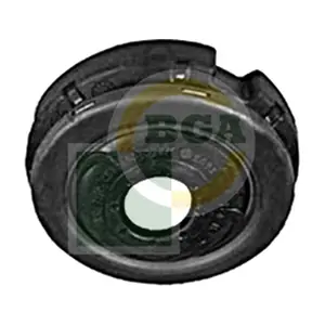 BGA SM2205
