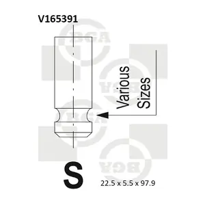 V165391 BGA