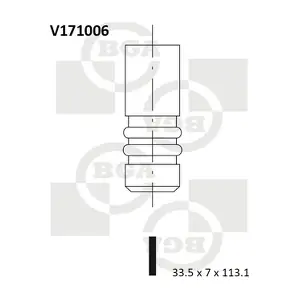 BGA V171006
