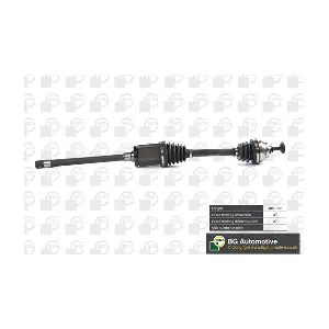 BGA DS0903R