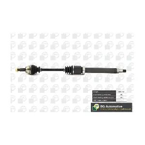 BGA DS2304R