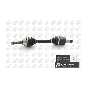 DS6317L BGA