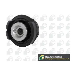 BU0888 BGA