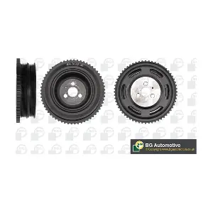 DP1201 BGA