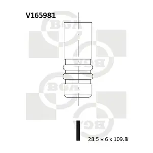V165981 BGA
