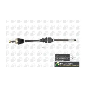 BGA DS6736R