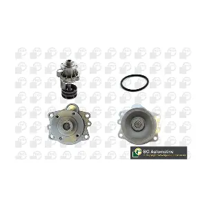 BGA CP0904