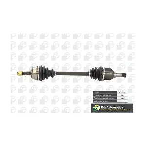 DS2201L BGA