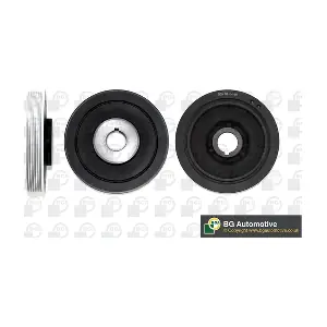 BGA DP0598