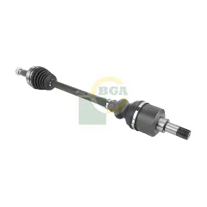 DS1469L BGA