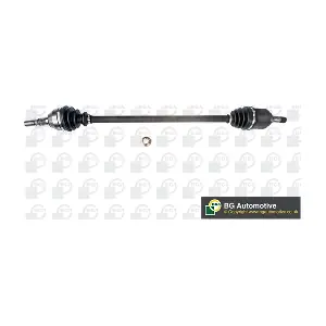 DS9515R BGA