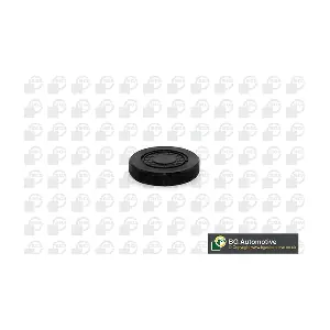 PL4602 BGA