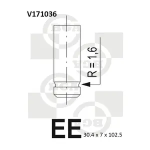 BGA V171036