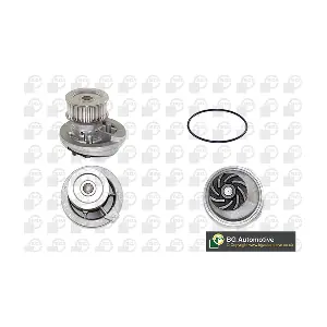 BGA CP2894