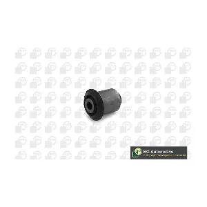 BU2520 BGA