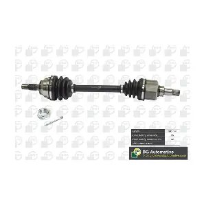 DS1408L BGA