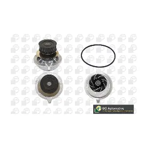 BGA CP2334