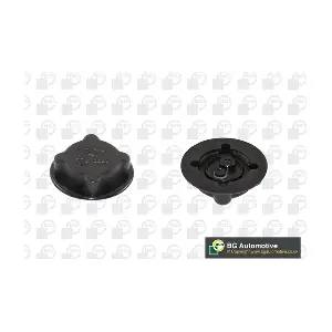 CC3019 BGA