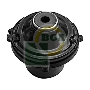BGA SM9507