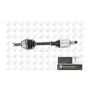 BGA DS1410L