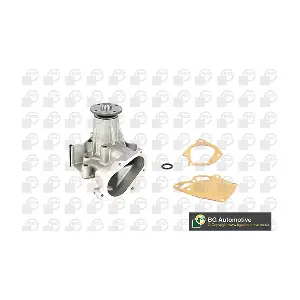 BGA CP6110