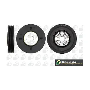 BGA DP0204