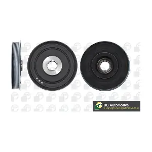 BGA DP0597