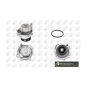 BGA CP3176