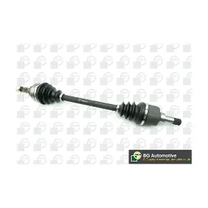 BGA DS1420L