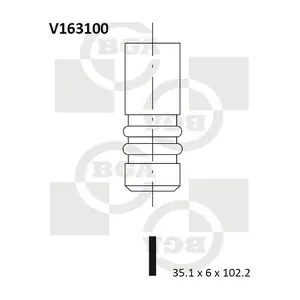 V163100 BGA