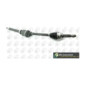 BGA DS2318R