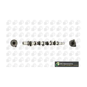 BGA CS2542